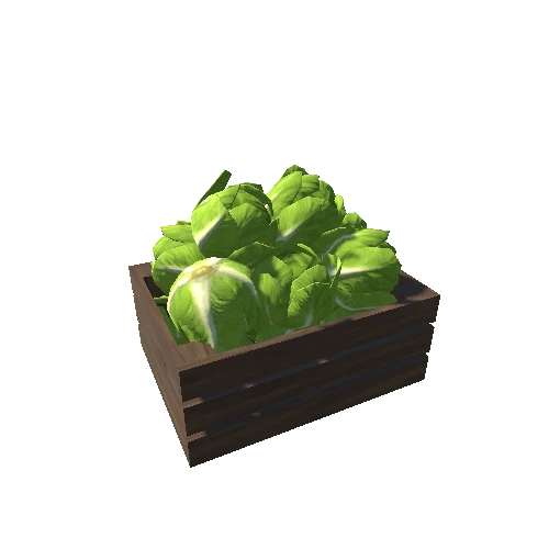 Cabbage Box